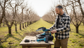 Man in an orchard with tools on a table, surrounded by leafless trees.